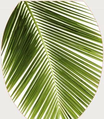 Сиденье для унитаза "Универсал Декор" Пальма Росспласт 528887