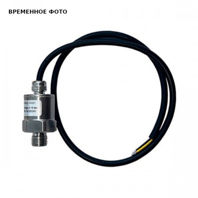 Датчик давления MLD-10.01 (нерж. сталь) 862793