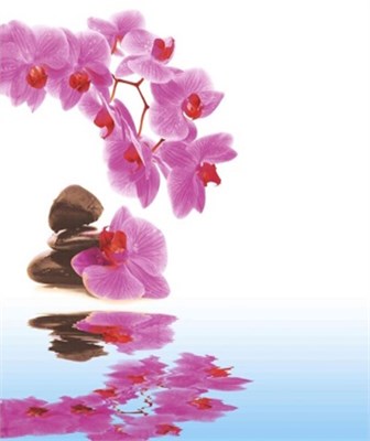 Штора для ванной  Фотопринт 180*180 Орхидея YQL-DX-132 без колец 543231