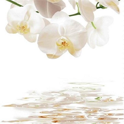 Штора для ванной  Фотопринт 180*200  Орхидеи DX-130 без колец 553275