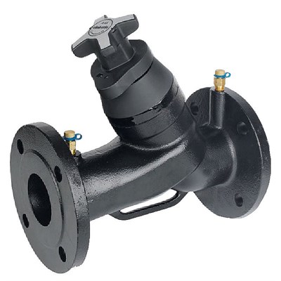 Клапан обратный фланц. DN 100 лепестковый, чугун 863528