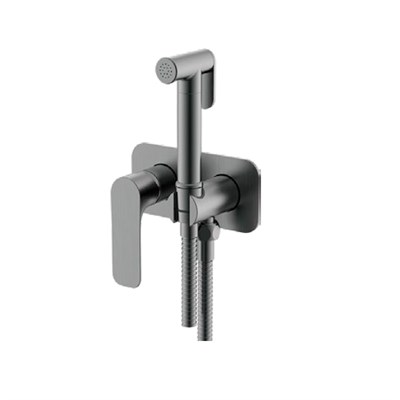 Смеситель с гигиенической лейкой 25к G7248-92  GAPPO встраиваемый, ОРУЖЕЙНАЯ СТАЛЬ 557643