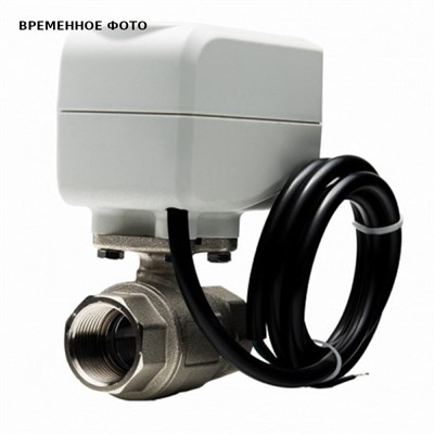 Кран 3/4'' с электроприводом 220B Neptun Standart 870149