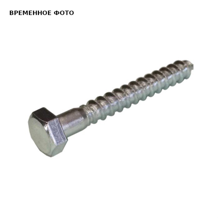 Шуруп BIS с шестигранной головкой DIN571 H10x100мм 876574