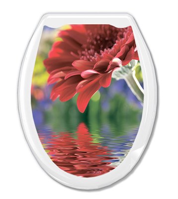 Сиденье для унитаза "Универсал Декор" Красная гербера Европласт 523360