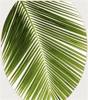 Сиденье для унитаза 