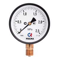 Манометр 63х1/4 16 бар ТМ-310Р (нижнее радиальное подкл., корпус сталь, минстекло) РОСМА 533344