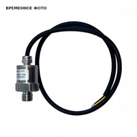 Датчик давления MLD-10.01 (нерж. сталь) 862793