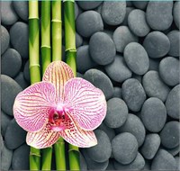 Штора для ванной  Фотопринт 180*180 Камни Z-004 без колец 543228