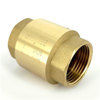 Клапан обратный ВВ 1