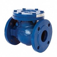 Клапан обратный поворотный CIM 3280 фланец DN80 чугун 868441