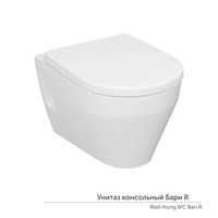 {{photo.Alt || photo.Description || 'Унитаз подвесной "Бари" ЖС  безободковый сиденье дюропласт КЕРАМИН'}}