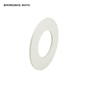 Прокладка ДУ 50 PN6 869757