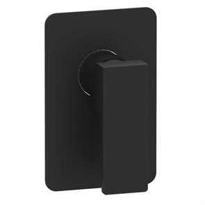 Смеситель Remer Absolute для душа, СМ, матовый черный 857212