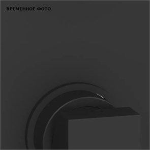 Смеситель для душа Remer Absolute, СМ, чёрный матовый 878707
