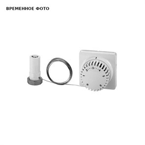 Термостат с дистанционным управлением Varman M 30x1.5 863230