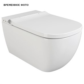 Умный подвесной унитаз Uni-Flow в комплекте с крышкой-биде и пультом ДУ, белый 859696
