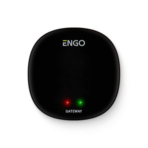 Универсальный интернет шлюз Zigbee для ENGO Smart 860802