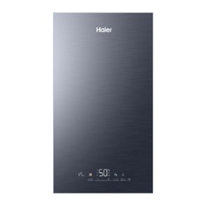 Котел настенный Haier EvoLine 2.24 Ti, 24 кВт, 2-контур., закр 917319