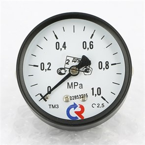 Манометр ТМ-310Т.00 63/10 (1/4