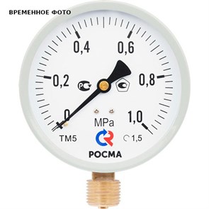 Манометр ТМ-510P.00 100/4 (М20х1.5, 0-1 бар, 1,0) радиальный 916241