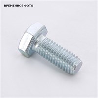 Болт М10 х 30 мм с шестигранной головкой BIS 883968