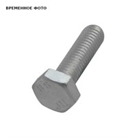 Болт с шестигранной головкой R M8x60мм 879131