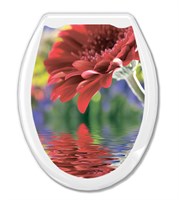 Сиденье для унитаза 