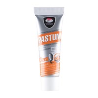 Уплотнительная паста 25г PASTUM GAZ газ 512358