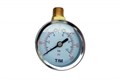 Манометр радиальный TIM 1/4" - 10 бар [подключение сверху]  [1 шт.], арт. Y-50C-10 Y-50C-10