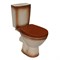 Унитаз-компакт "Соло" коричневый (гориз, нижн, сид. полип., 2-кн.арм.) (Rosa) 537378