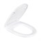Сиденье для унитаза Iris белое дюр.нерж.кр. "Лига" (SANTEK) AHS.53 548155