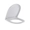Сиденье для унитаза Orion белое дюр.нерж.кр.м/лифт, съем "Элеганс"(Kirovit,Rosa) 548147