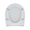 Сиденье для унитаза полипроп,Soft Close,005,IDDIS,005PPS3i31(Элегант,Стандарт,Эталон,Next,Анимо) 549263