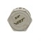 Заглушка 3/4'' нар VRT® никель 550953