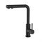 Смеситель для кухни 35к IDDIS RULBLLFi05 "Rule" с вых.для пит.фильтра выс.пов. излив, п/гайку ЧЕРНЫЙ 552731