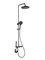 Душевая система 35к ПРОФСАН ПСМ-800-88GA клавиш.упр. лейка "Тропич. душ круг" + гигиен. лейка ГРАФИТ 553043