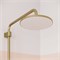 Душевая система 35к IDDIS AIGMG3Fi06 "Aiger" лейка "Тропический душ", ЗОЛОТО матовый 554697