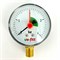 Манометр радиальный с индикаторной стрелкой 4 бар, диаметр 63 мм, 1/4"Н 863808
