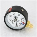 Манометр ТМ-310Р.00 63/6 (1/4", 0-6 бар, 2,5) радиальный 916121