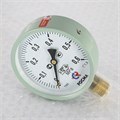 Манометр ТМ-510Р.00 100/6 (1/2", 0-6 бар, 1,5) M2 радиальный 916263